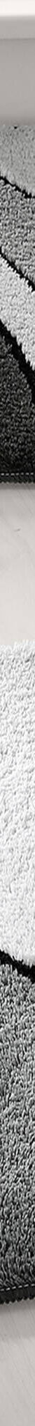 Tapis de bain motif végétal (gris) Tapis de bain motif végétal (gris)